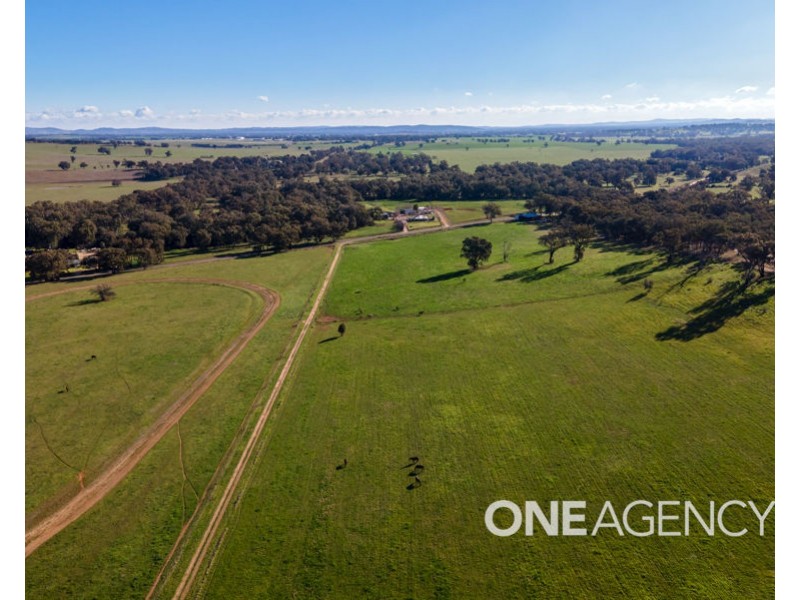 39 RIVER ROAD, Alfredtown NSW 2650