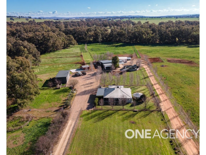 39 RIVER ROAD, Alfredtown NSW 2650