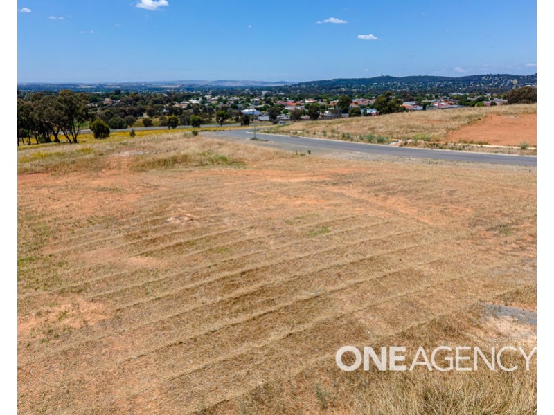 110 LINGIARI DRIVE, Lloyd NSW 2650