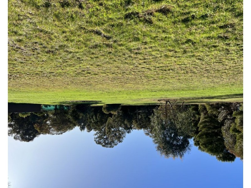 49 MINNIE STREET, Currawarna NSW 2650