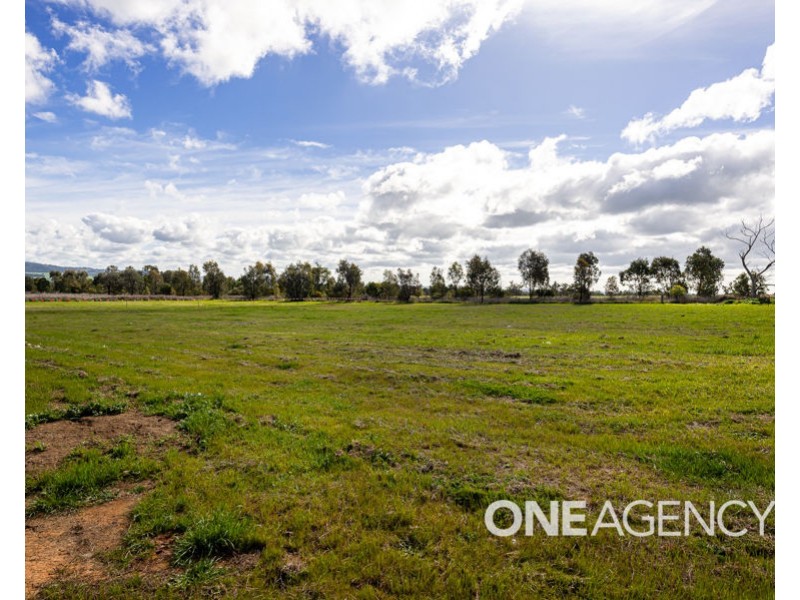 103 VALENCIA DRIVE, Gobbagombalin NSW 2650