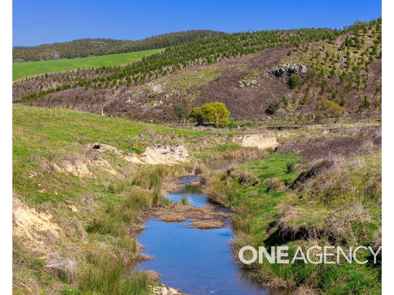 1235 COPPABELLA ROAD, Coppabella NSW 2644