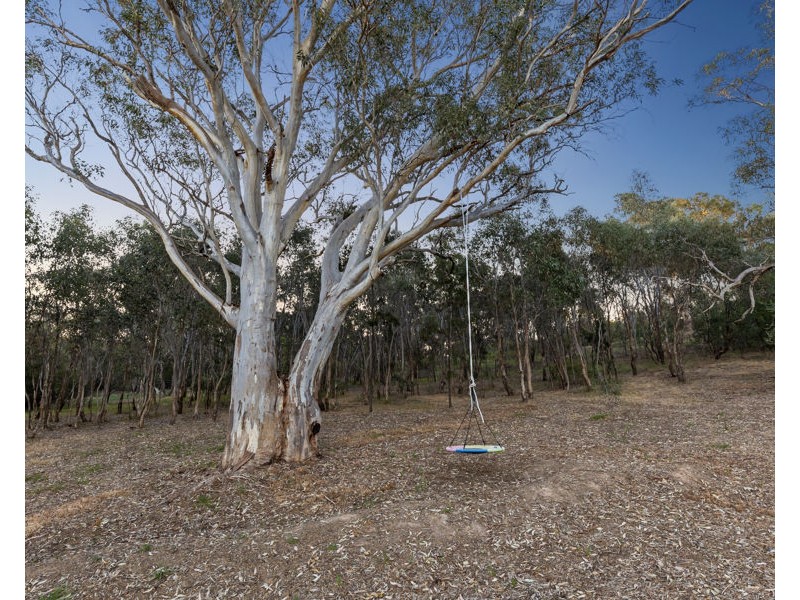 4 BULLER PLACE, Tatton NSW 2650