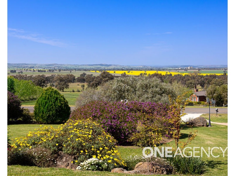 89 BRUCEDALE DRIVE, Brucedale NSW 2650