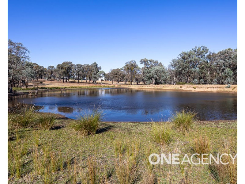 196 BARCOO LANE, Big Springs NSW 2650