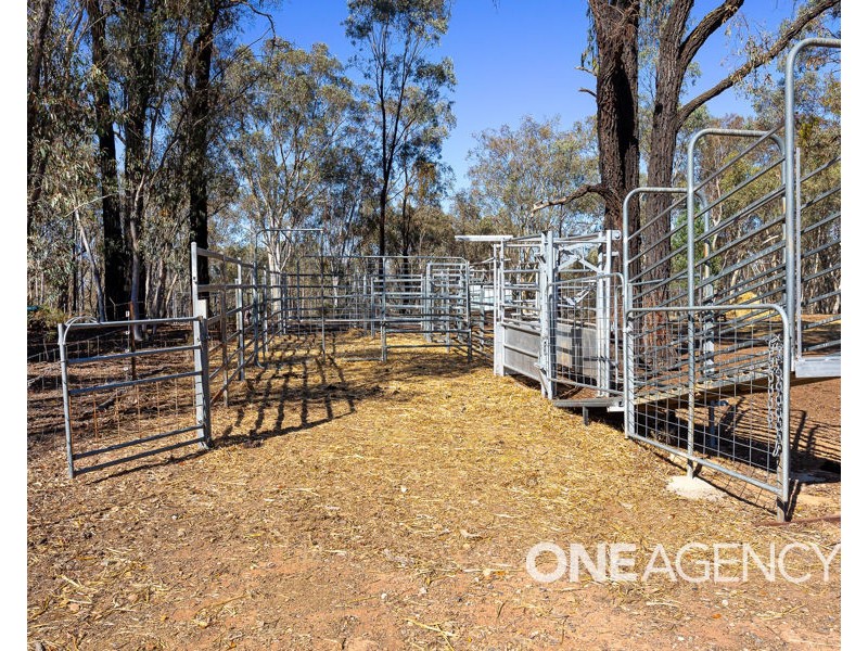 196 BARCOO LANE, Big Springs NSW 2650