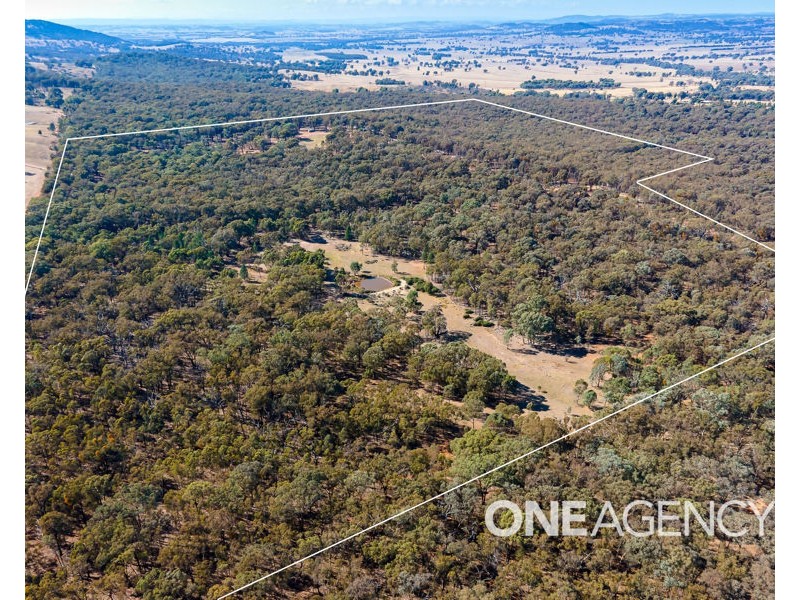 196 BARCOO LANE, Big Springs NSW 2650