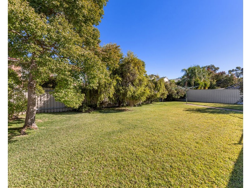 3 NATHAN PLACE, Kooringal NSW 2650