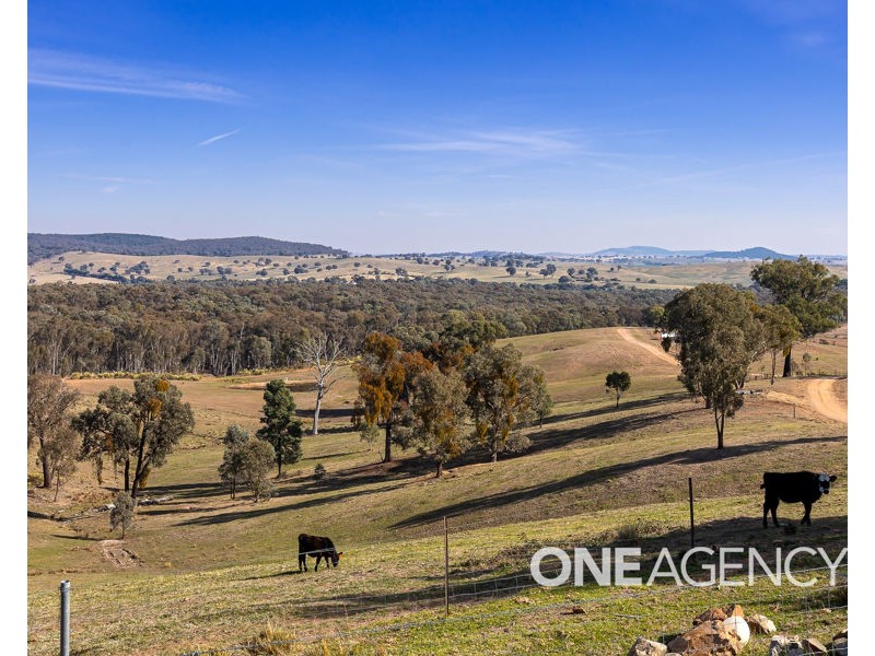 195 BARCOO LANE, Maxwell NSW 2650