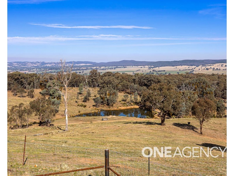 195 BARCOO LANE, Maxwell NSW 2650