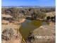 195 BARCOO LANE, Maxwell NSW 2650