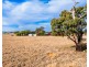 18 DUNNS ROAD, Eunanoreenya NSW 2650