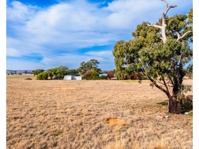 18 DUNNS ROAD, Eunanoreenya NSW 2650