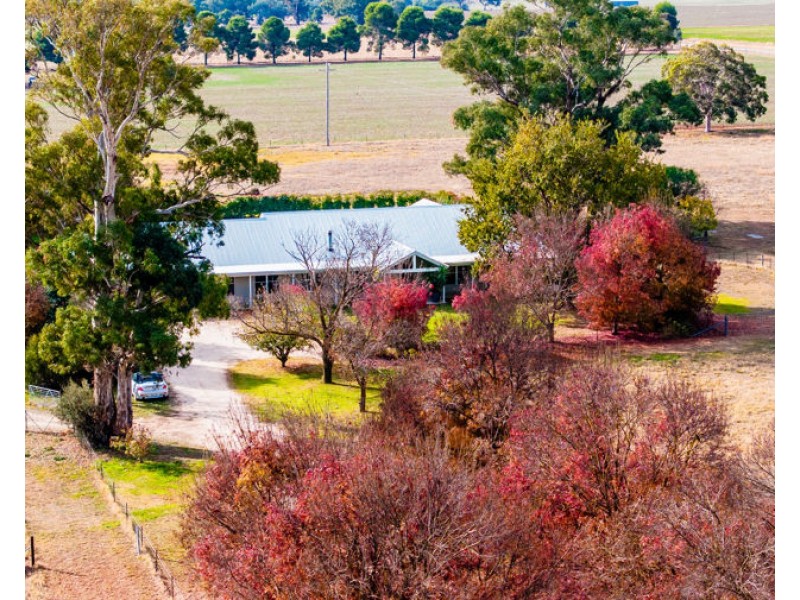 18 DUNNS ROAD, Eunanoreenya NSW 2650