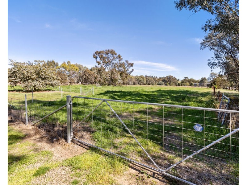 6 MICHAEL AVENUE, San Isidore NSW 2650
