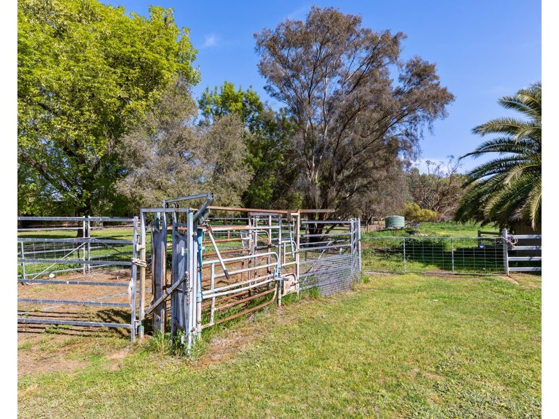 6 MICHAEL AVENUE, San Isidore NSW 2650