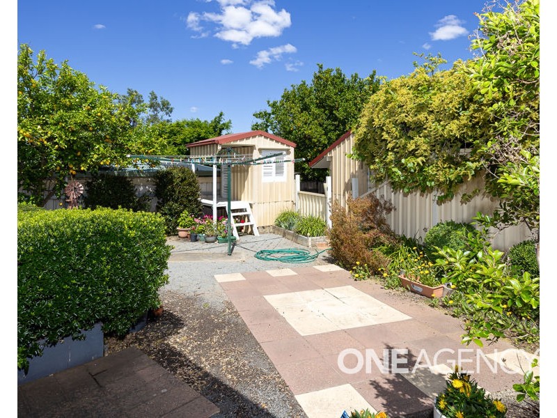 59 KIMBERLEY DRIVE, Tatton NSW 2650