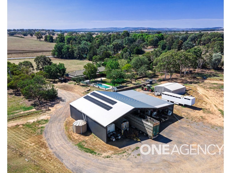331 INGLEWOOD ROAD, Lake Albert NSW 2650