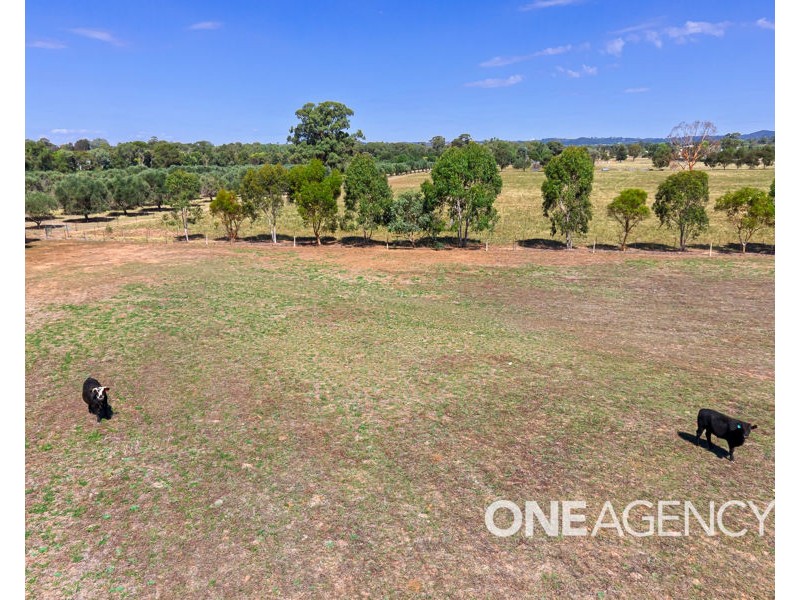 331 INGLEWOOD ROAD, Lake Albert NSW 2650