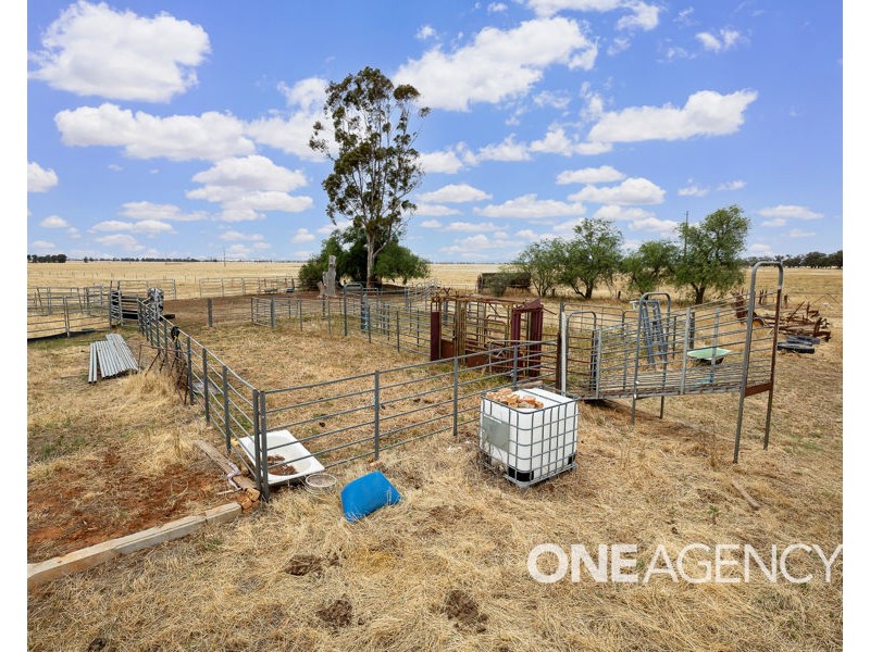 268 ANDREWS ROAD, Brookdale NSW 2656