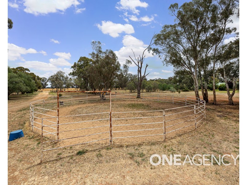 268 ANDREWS ROAD, Brookdale NSW 2656