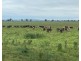 268 ANDREWS ROAD, Brookdale NSW 2656