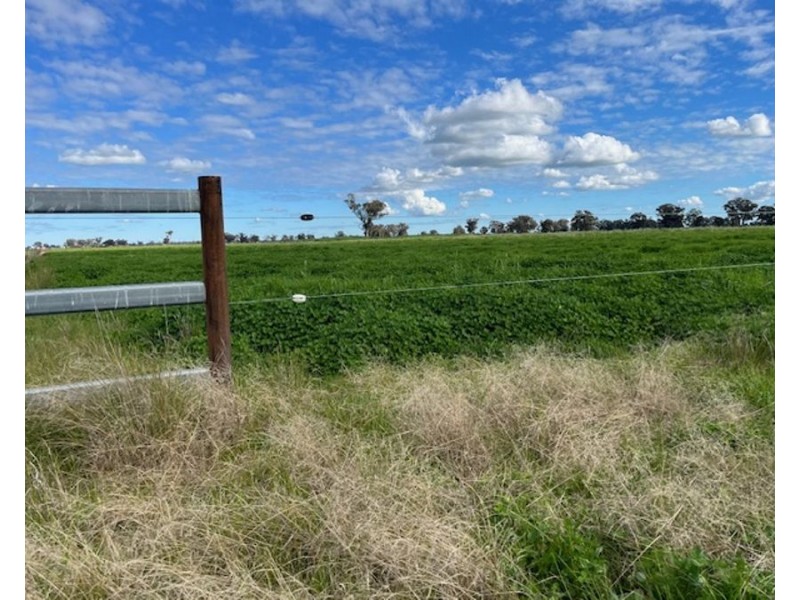 268 ANDREWS ROAD, Brookdale NSW 2656