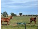 268 ANDREWS ROAD, Brookdale NSW 2656