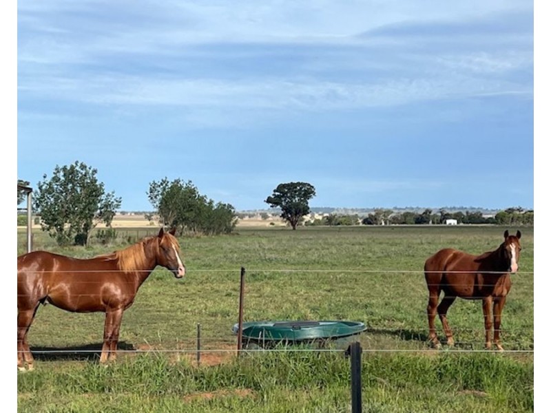 268 ANDREWS ROAD, Brookdale NSW 2656