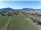 1924 CLIFTON RD, Carroll NSW 2340