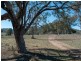 1924 CLIFTON RD, Carroll NSW 2340
