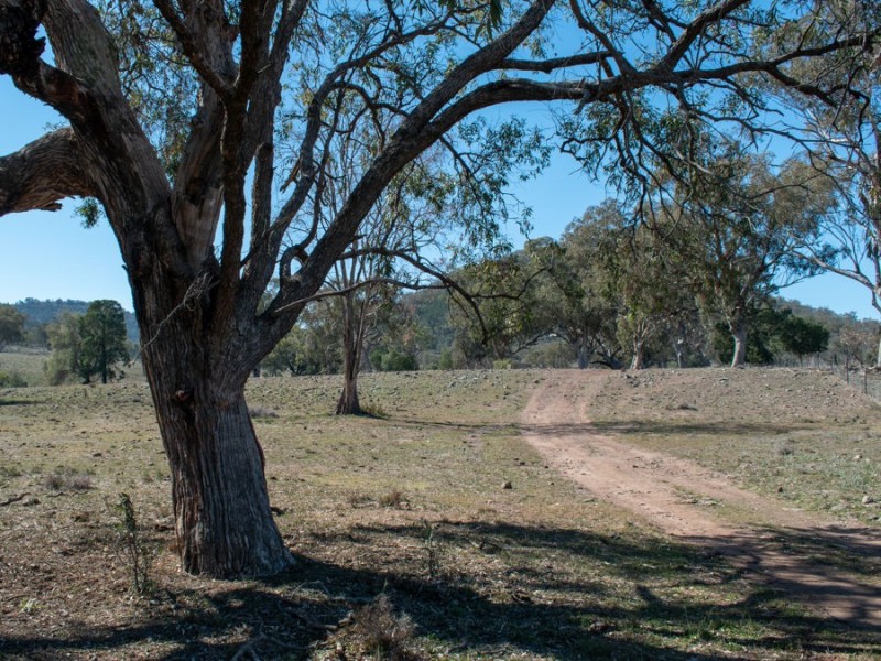1924 CLIFTON RD, Carroll NSW 2340