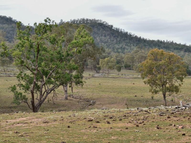 1924 CLIFTON RD, Carroll NSW 2340