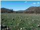 1924 CLIFTON RD, Carroll NSW 2340