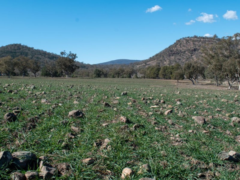 1924 CLIFTON RD, Carroll NSW 2340