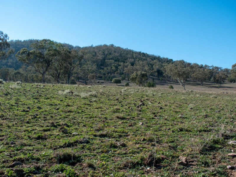 1924 CLIFTON RD, Carroll NSW 2340
