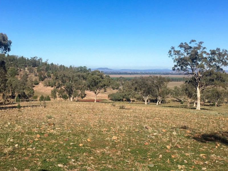 1924 CLIFTON RD, Carroll NSW 2340