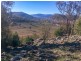 1924 CLIFTON RD, Carroll NSW 2340