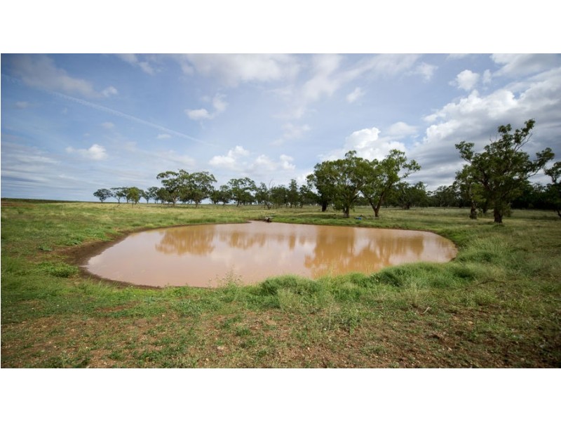 ‘WEST MOOKI’ 70 WILLIEWARINA RD, Caroona NSW 2343