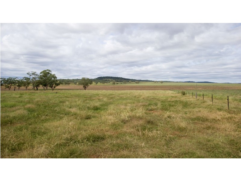 ‘WEST MOOKI’ 70 WILLIEWARINA RD, Caroona NSW 2343
