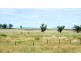 ‘WEST MOOKI’ 70 WILLIEWARINA RD, Caroona NSW 2343