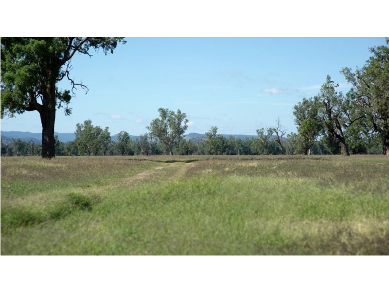 “Phoenix Park” 391 Gunnembene Lane, Carroll NSW 2340