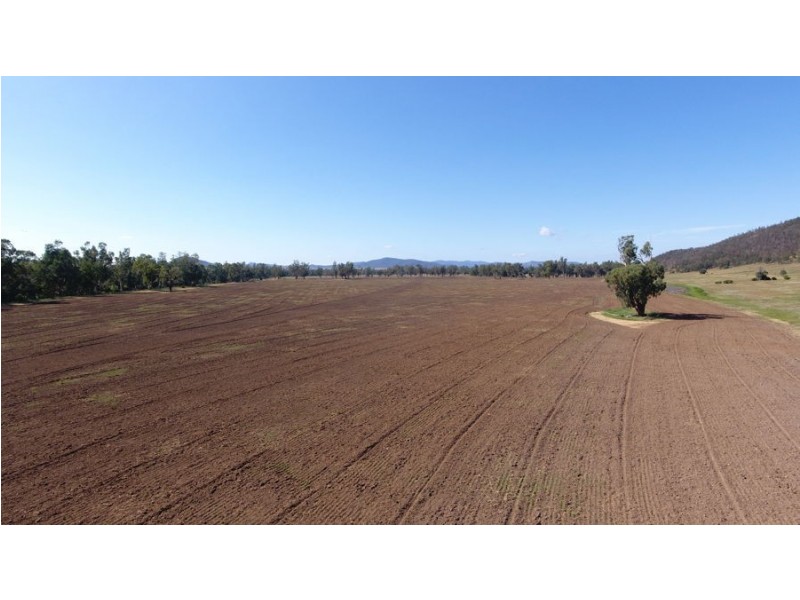 “Phoenix Park” 391 Gunnembene Lane, Carroll NSW 2340