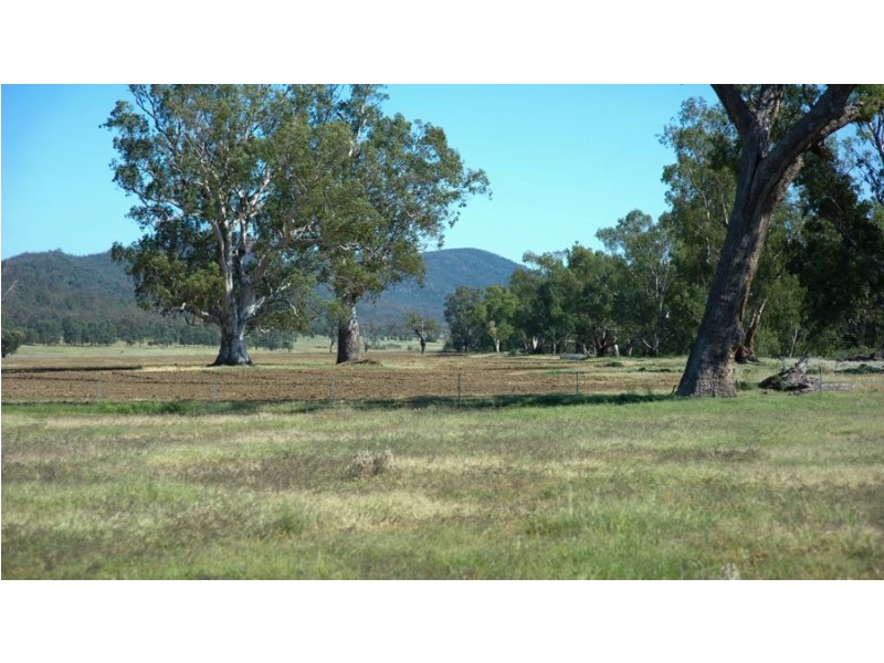 “Phoenix Park” 391 Gunnembene Lane, Carroll NSW 2340