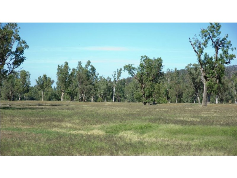 “Phoenix Park” 391 Gunnembene Lane, Carroll NSW 2340