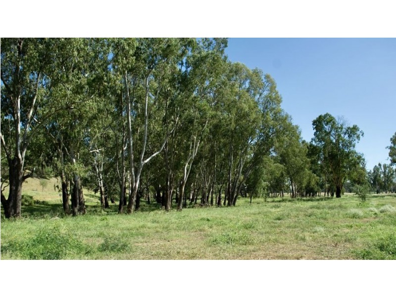 “Phoenix Park” 391 Gunnembene Lane, Carroll NSW 2340