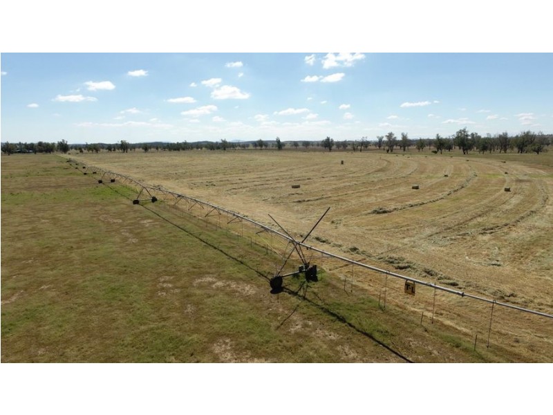 “Phoenix Park” 391 Gunnembene Lane, Carroll NSW 2340