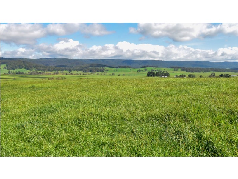 747 Upper Yarrowitch River Road, Yarrowitch NSW 2354