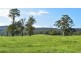 747 Upper Yarrowitch River Road, Yarrowitch NSW 2354