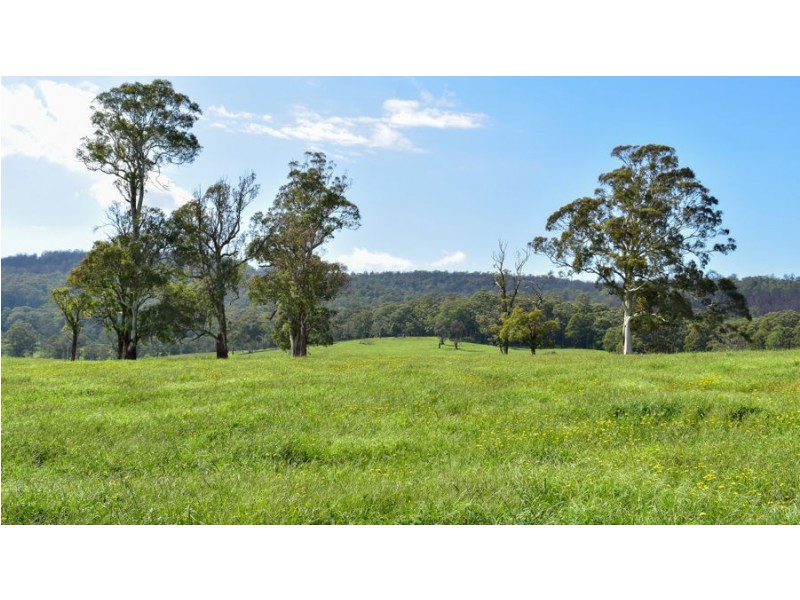 747 Upper Yarrowitch River Road, Yarrowitch NSW 2354